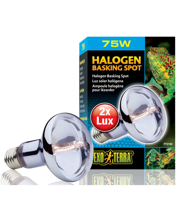  Exo Terra® Halogen Basking Spot