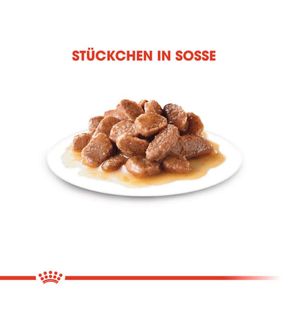  ROYAL CANIN® Nassfutter Für Katzen Ageing 12+, 12 X 85 G