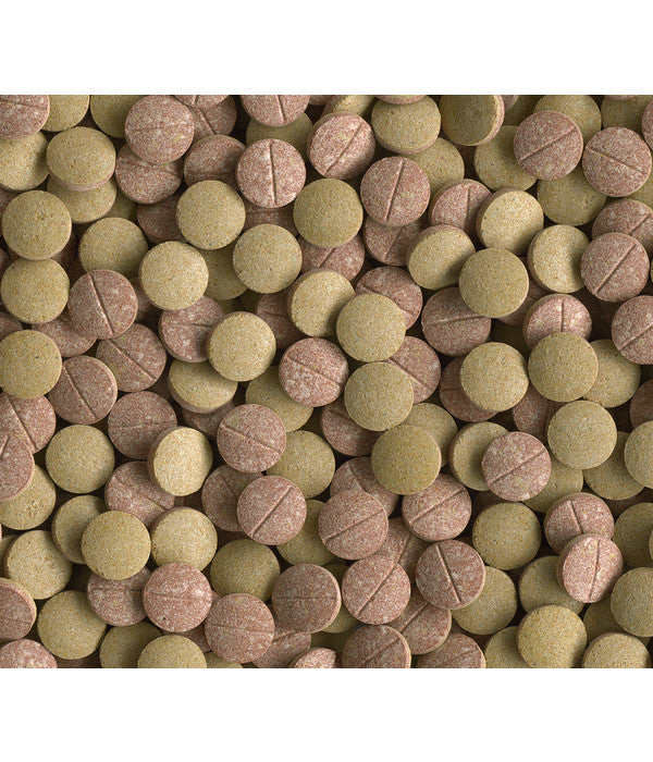  Tetra Tablets TabiMin XL, 133 Tabletten