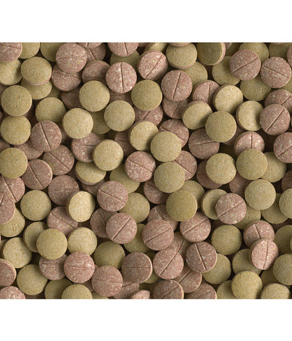  Tetra Tablets TabiMin XL, 133 Tabletten