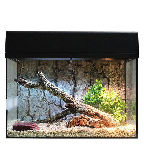  Lucky Reptile Terrarium Starter Kit Komplettset Schlangen