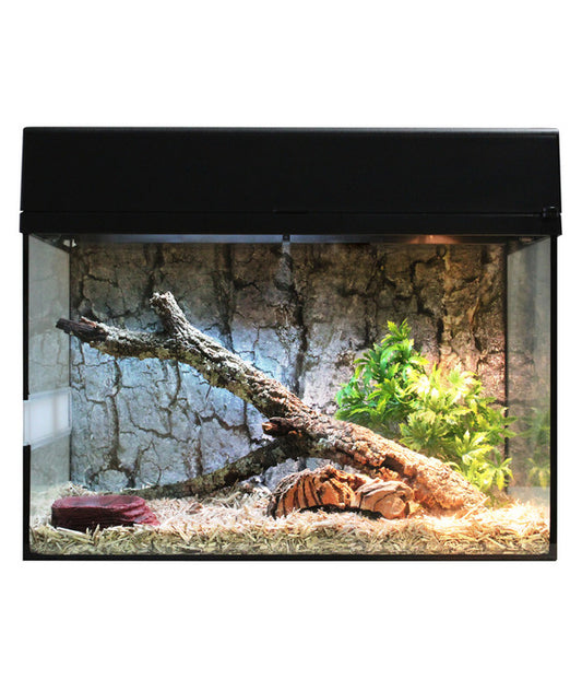  Lucky Reptile Terrarium Starter Kit Komplettset Schlangen