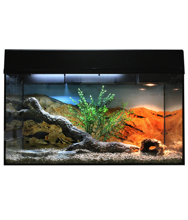  Lucky Reptile Starter Kit Komplettset Bartagame, Ca. B80/H52/T40 Cm