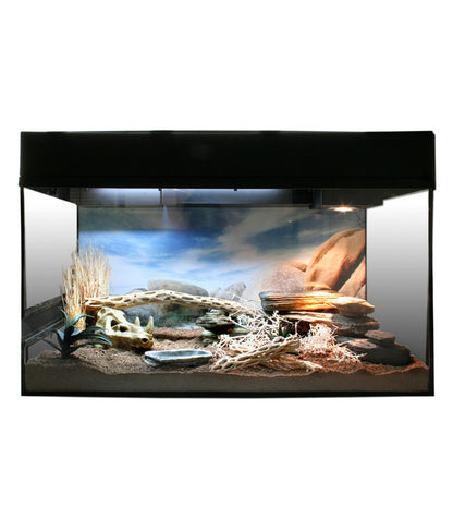  Lucky Reptile Starter Kit Komplettset Bartagame, Ca. B80/H52/T40 Cm