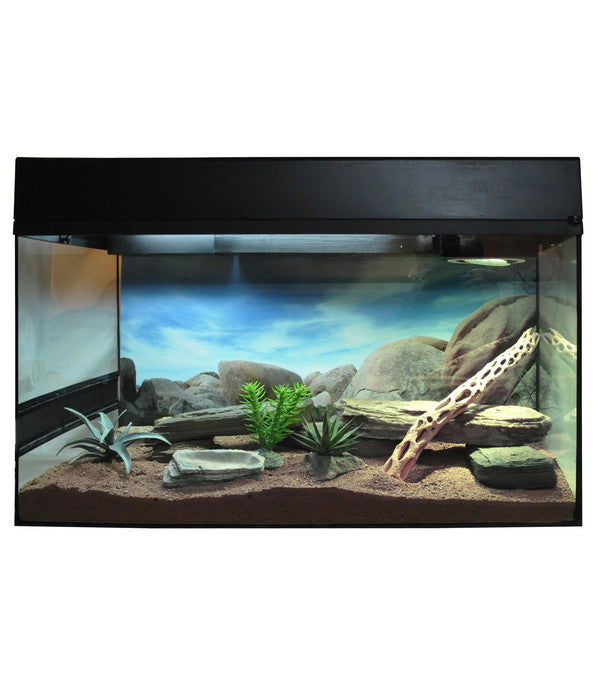  Lucky Reptile Starter Kit Komplettset Bartagame, Ca. B80/H52/T40 Cm