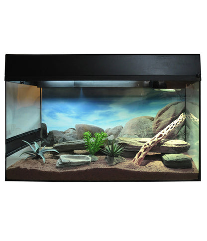  Lucky Reptile Starter Kit Komplettset Bartagame, Ca. B80/H52/T40 Cm