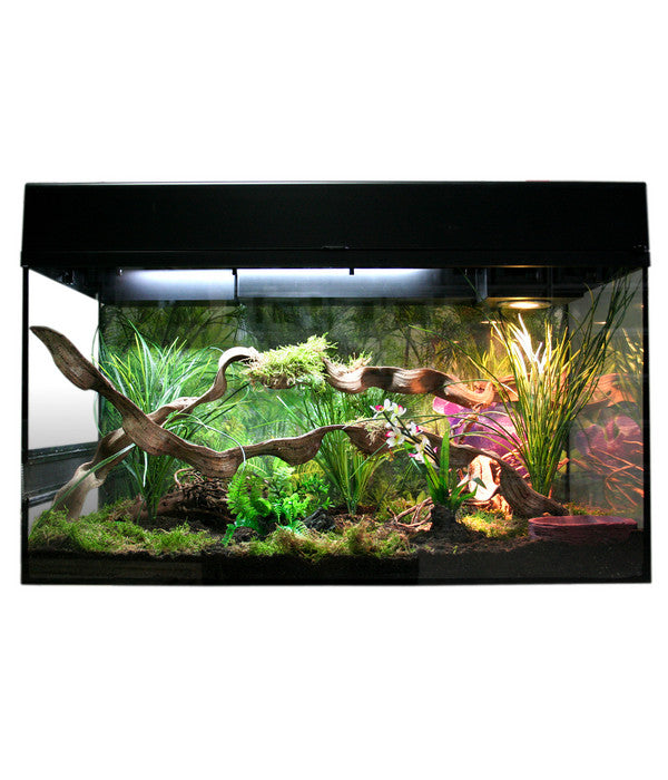  Lucky Reptile Starter Kit Komplettset Bartagame, Ca. B80/H52/T40 Cm
