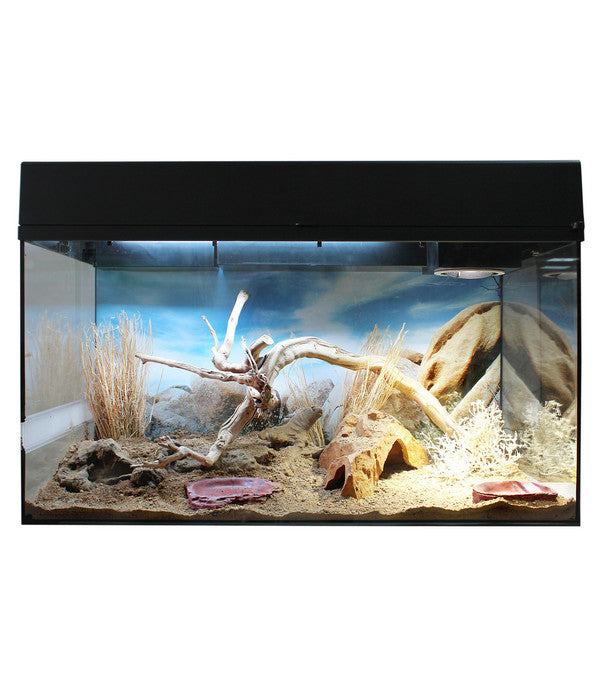  Lucky Reptile Starter Kit Komplettset Bartagame, Ca. B80/H52/T40 Cm