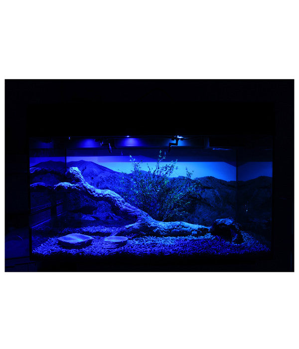  Lucky Reptile Starter Kit Komplettset Bartagame, Ca. B80/H52/T40 Cm