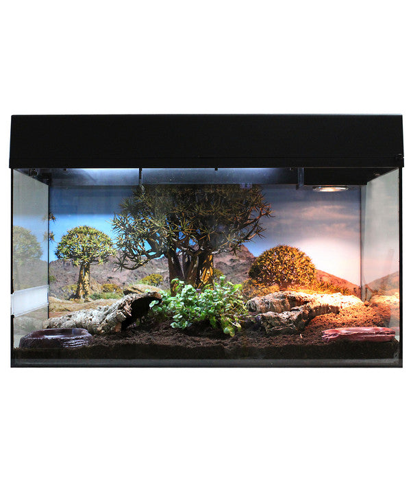  Lucky Reptile Starter Kit Komplettset Landschildkröte, Ca. B80/H52/T40 Cm