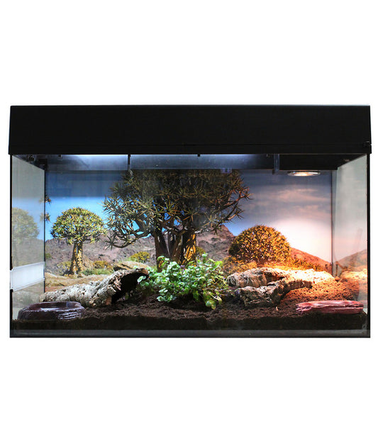  Lucky Reptile Starter Kit Komplettset Landschildkröte, Ca. B80/H52/T40 Cm