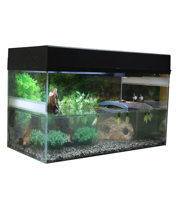  Lucky Reptile Starter Kit Komplettset Wasserschildkröte, Ca. B80/H52/T40 Cm