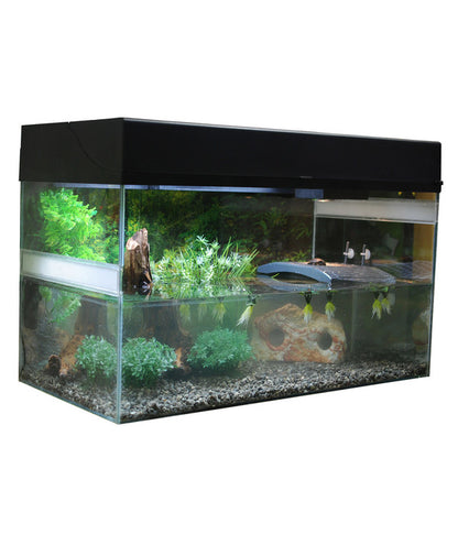 Lucky Reptile Starter Kit Komplettset Wasserschildkröte, Ca. B80/H52/T40 Cm