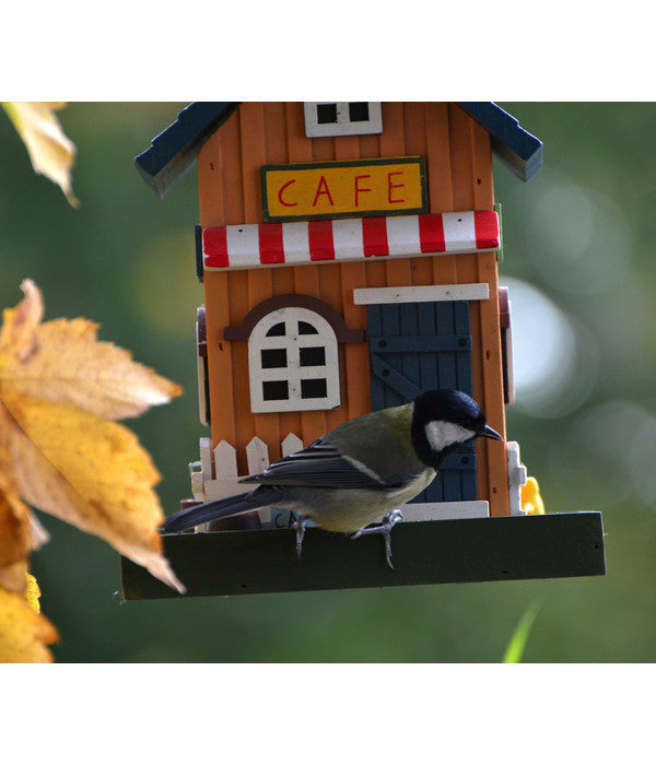  Dobar® Wildlife Vogelhaus Café, Kiefer, Orange/blau, Ca. B18/H23/T18 Cm