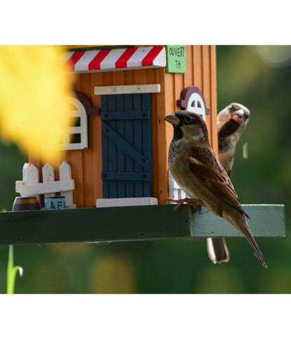  Dobar® Wildlife Vogelhaus Café, Kiefer, Orange/blau, Ca. B18/H23/T18 Cm