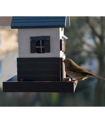  Dobar® Wildlife Vogelhaus School, Kiefer, Schwarz/weiß, Ca. B18/H23/T18 Cm