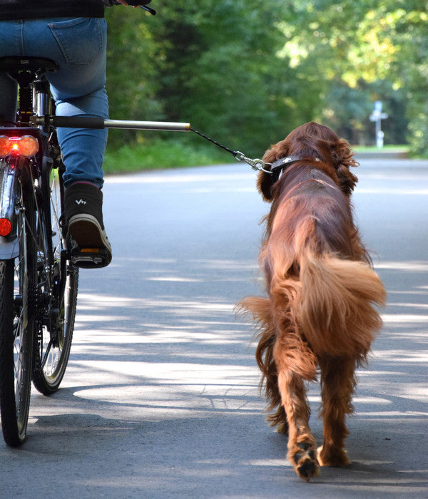  Dobar Petlife Fahrradleine Walky Dog Plus