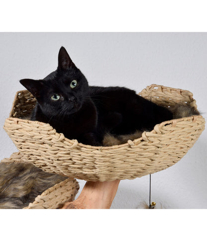  Dobar Petlife Design-Katzenmöbel Tony, Ca. B60/H111/T45 Cm