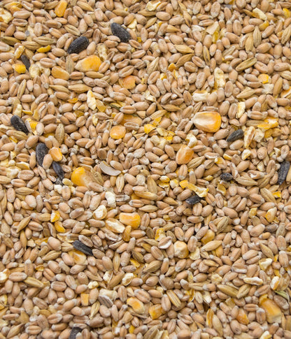  Dehner Best Nature Hühnerfutter Bio Hennenkorn
