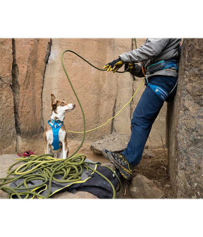  RUFFWEAR® Hundegeschirr Flagline Harness 2.0