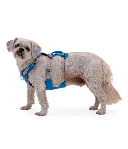  RUFFWEAR® Hundegeschirr Flagline Harness 2.0