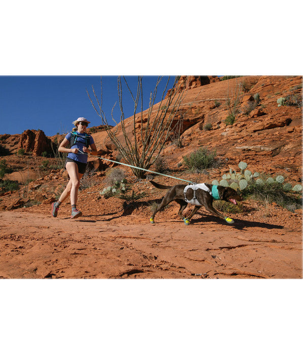  RUFFWEAR® Hundeleine Flagline™ Leash, 2 M