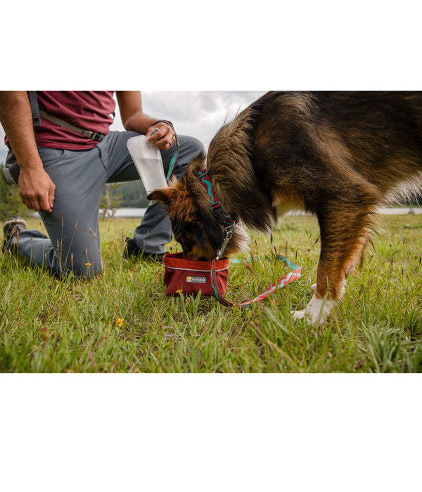  RUFFWEAR® Hundehalsband Flat Out