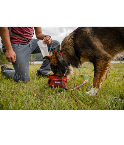  RUFFWEAR® Hundehalsband Flat Out