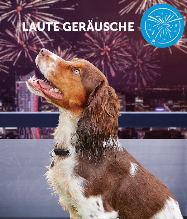  ADAPTIL® Calm Halsband Für Hunde