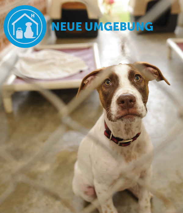 ADAPTIL® Calm Halsband Für Hunde