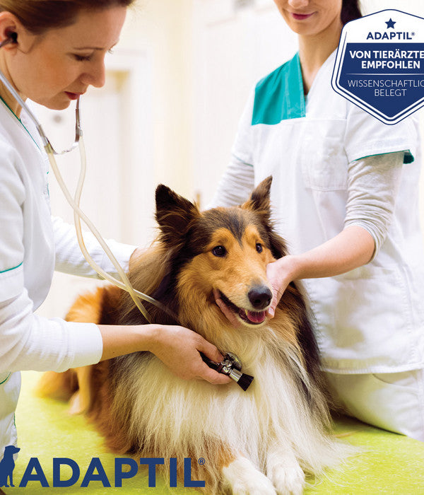  ADAPTIL® Calm Halsband Für Hunde