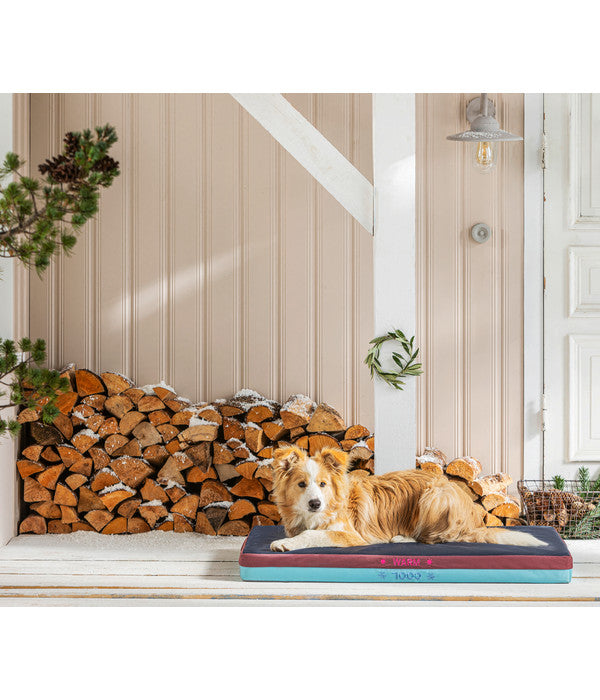  Dehner Lieblinge Cool & Warm Matte