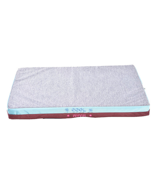 Dehner Lieblinge Cool & Warm Matte