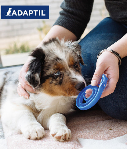  ADAPTIL® Junior Halsband Für Welpen