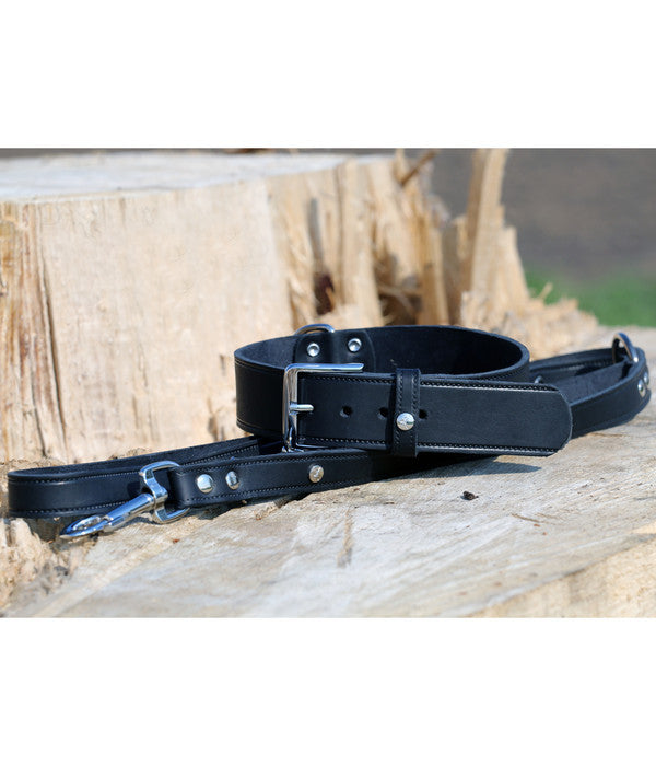  Das Lederband Hundeleine Basic Weinheim Schwarz