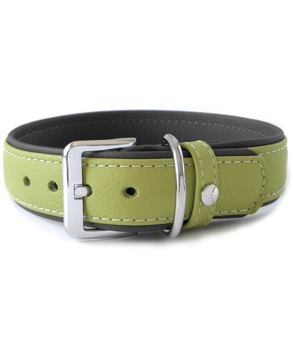  Das Lederband Hundehalsband Style Amsterdam Lime/Lava