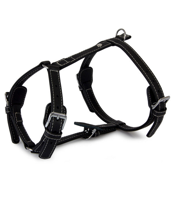  Das Lederband Hundegeschirr Olivvia Barcelona Black