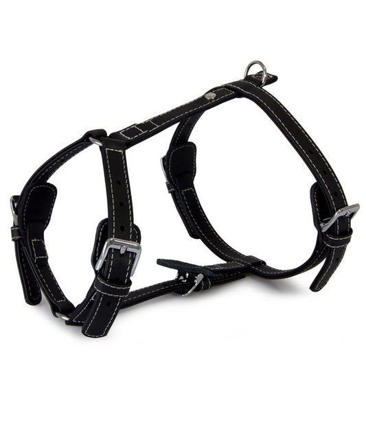  Das Lederband Hundegeschirr Olivvia Barcelona Black