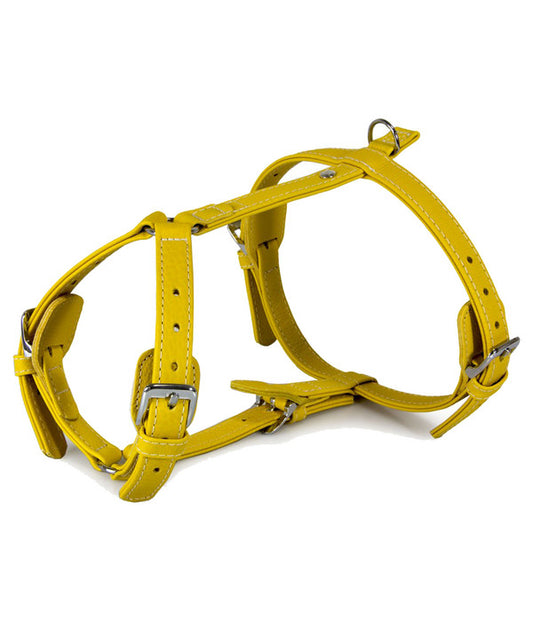  Das Lederband Hundegeschirr Style Barcelona Vibrant-Yellow