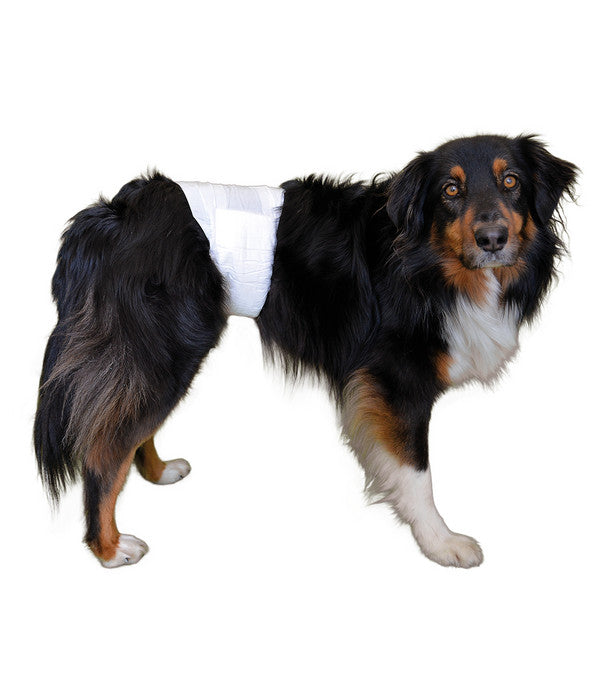  Vetlando® Hundehygiene Rüdenwindel