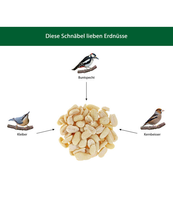  Dehner Natura Futter-Stangen Erdnusskerne