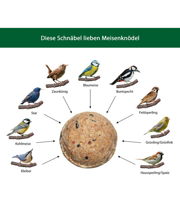  Dehner Natura Wildvogelfutter Meisen-Knödel, Mit Netz, 2 X 100 Stk. Je 100 G