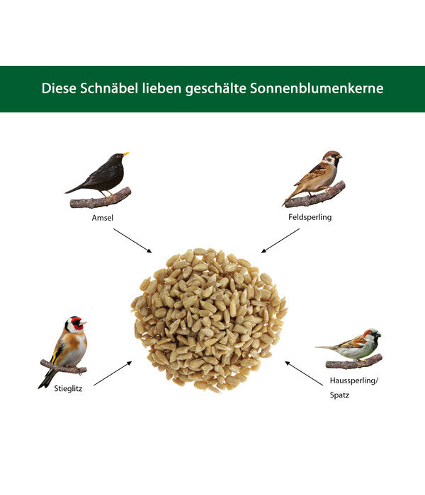  Dehner Natura Futter-Stangen Sonnenblumenkerne