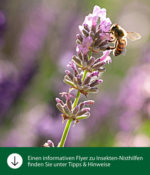  Dehner Natura Insektenhotel Hostilia, Ca. B19/H25/T19 Cm