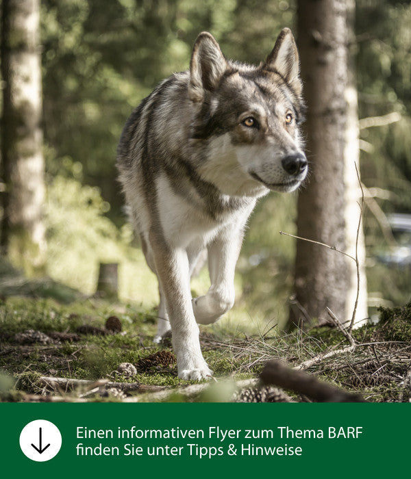  Dehner Wild Nature BARF-Ergänzungsfutter Für Hunde Barf Mineral