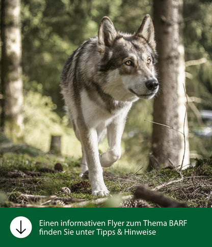  Dehner Wild Nature BARF-Ergänzungsfutter Für Hunde Barf Mineral