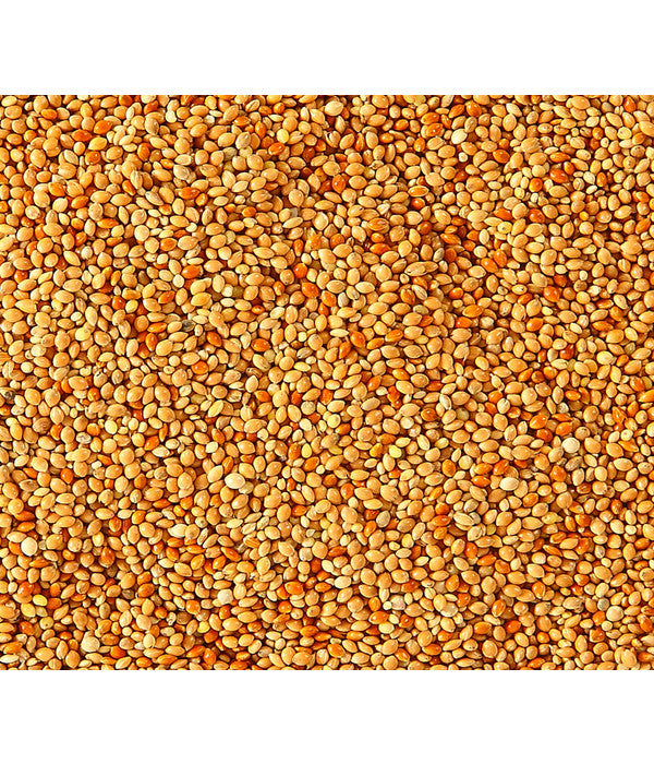  Dehner Lebertranfutter, 20 G