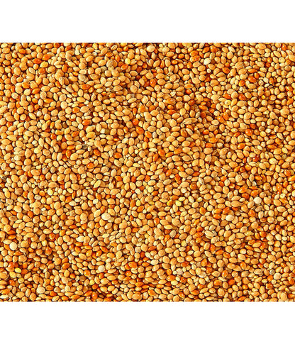  Dehner Lebertranfutter, 20 G